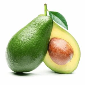 এভোক্যাডো গাছ