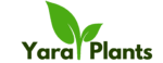green organic plant icon plant store logo