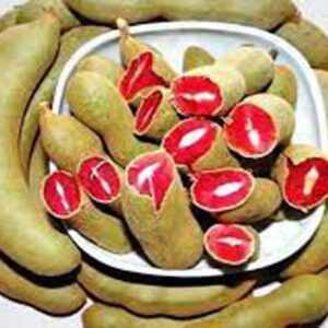 লাল তেতুল গাছ