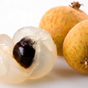 ব্রাউন লংগন গাছ....