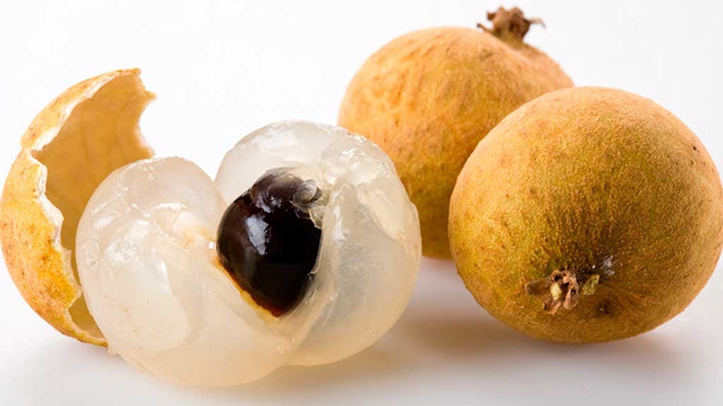 ব্রাউন লংগন গাছ....