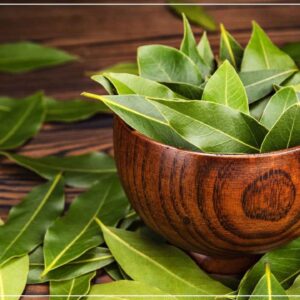 তেজপাতা গাছ